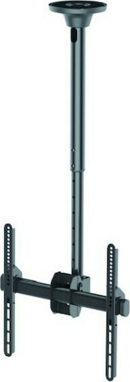 Newstar NM-C440BLACK Οροφής έως 60" και 50kg - Image 1