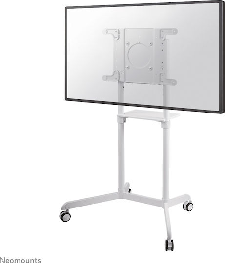 Neomounts NS-M1250 Βάση Τηλεόρασης Δαπέδου έως 70" και 70kg White - Image 1