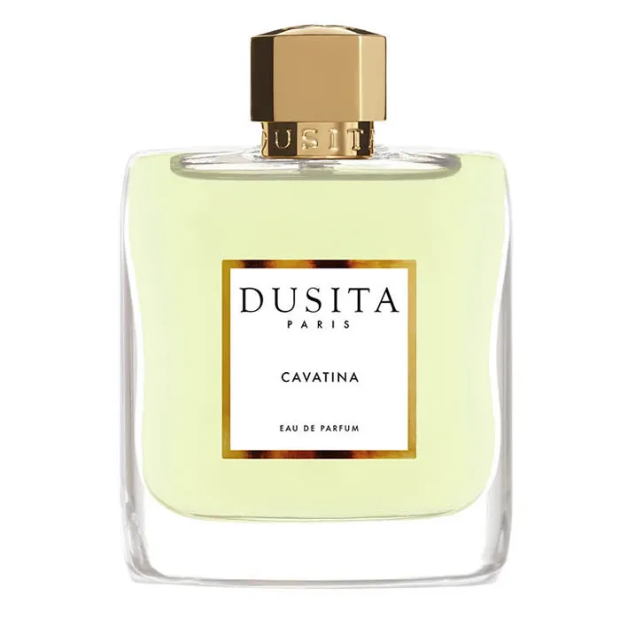 3770014241337.webp Dusita Cavatina Eau De Parfum Spray 100ml - Image 1