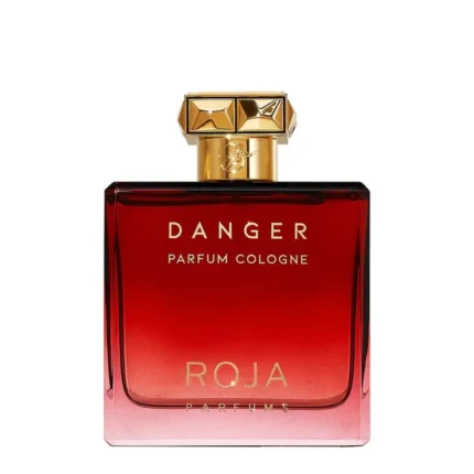 Roja Danger Pour Homme Parfum Cologne Spray 100ml