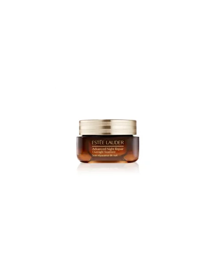 Advanced Night Repair Overnight Treatment 65ml Skin Type All Types
