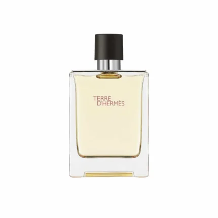 Hermes Terre D' Hermes Eau de Toilette 100ml