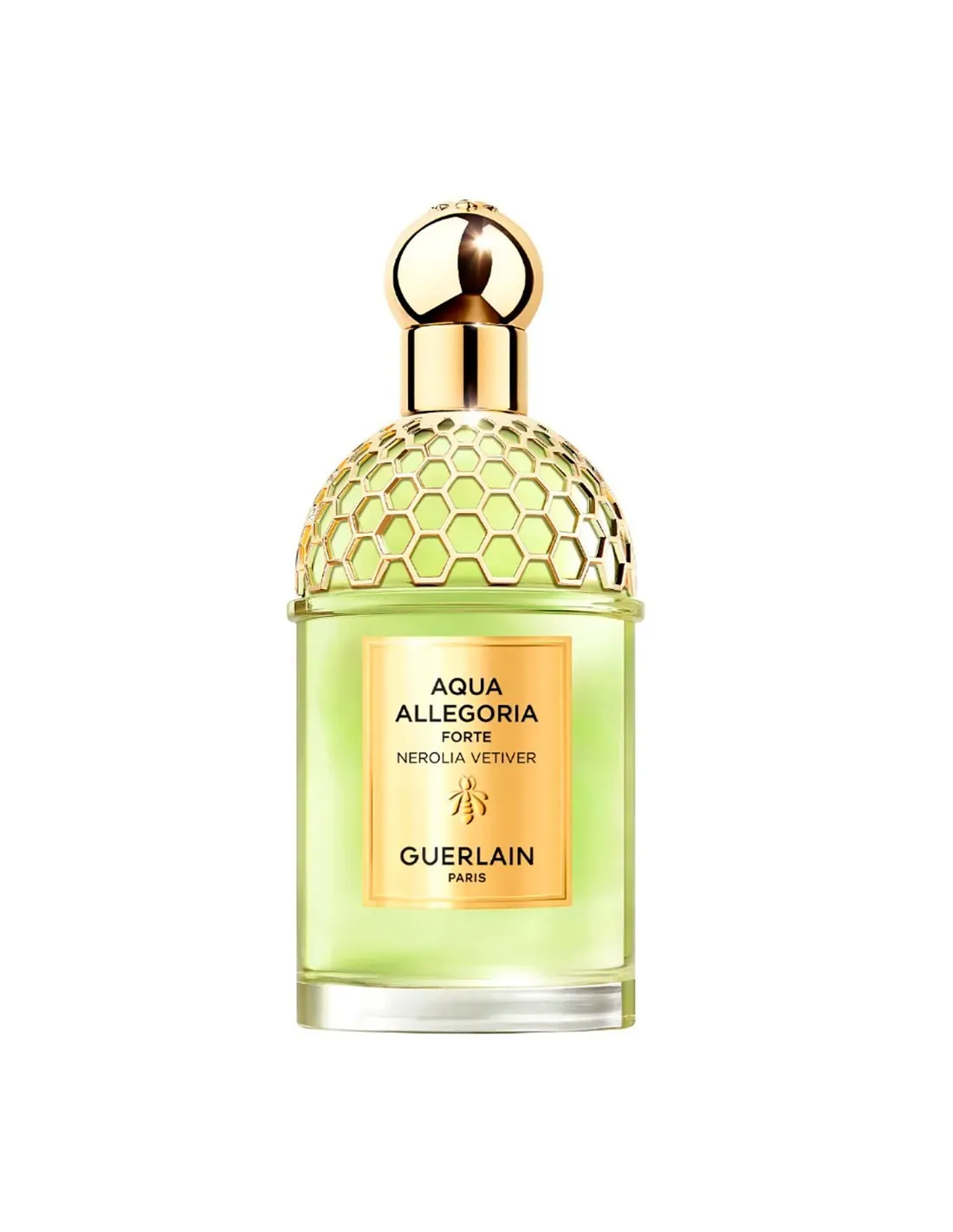 3346470146846.webp Guerlain Aqua Allegoria Nerolia Forte Vetiver Eau de Parfum 125ml - Image 1