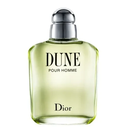 Dior Homme Eau de Toilette 100ml