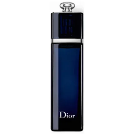 Dior Addict Eau de Parfum 100ml