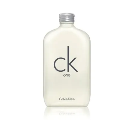 Calvin Klein One Eau de Toilette 300ml