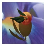 Loewe Solo Elixir Eau de Parfum 50ml