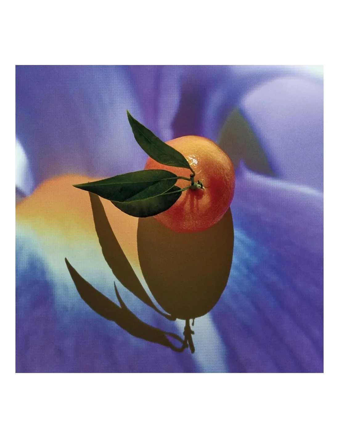 8426017083409.webp Loewe Solo Elixir Eau de Parfum 50ml - Image 1