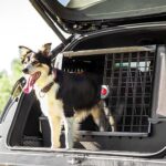 Ferplast Atlas Car Scenic 100 Black Dog Transport Cage 100x60x66cm - Image 3