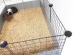 C&C Rodents Cage Rodents Cage 145x75x75cm - Image 6