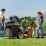 Black & Decker Ψησταριά Υγραερίου Μαντεμένιας Σχάρας 60x41.5εκ. με 3 Εστίες 10.8kW και Πλαϊνό Μάτι 2.1kW - Image 3