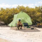 Sea to Summit Telos Evo Bikepack TR2 Camping Tent Igloo Green 3 Seasons for 2 People 274x215x105cm - Image 3