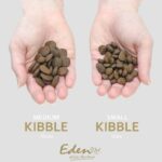 Eden 80/20 Fish Cuisine Dog Food Medium Kibble 12kg Dry Food for Dogs Grain-Free with Fish - Image 2