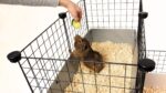 C&C Rodents Cage Rodents Cage 145x75x75cm - Image 7