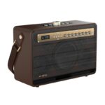 W-King Karaoke Speaker with Wireless Microphones K6L Brown - Image 3