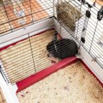 Ferplast Krolik 160 Metal Cage for Rabbits 162x60x50cm - Image 6
