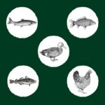 Eden Dry Food Grain-Free for Sterilized Cats 10kg - Image 6
