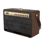 W-King Karaoke Speaker with Wireless Microphones K6L Brown - Image 2