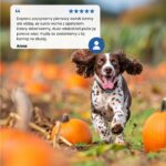 Farmina N&D Pumpkin Medium & Maxi 12kg Dry Food Grain-Free for Adult Medium & Large Breed Dogs with Pork and Pumpkin - Image 8