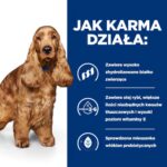 Hill's Hill's Prescription Diet Z/D Food Sensitivities 10kg Dry Food Gluten-Free for Adult Dogs with Liver - Image 4