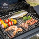 Black & Decker Gas Grill with Cast Iron Grill 50x41.5cm with 2 Burners 7.2kW - Image 4