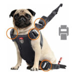Zolux Travel Safe S Red Dog Harness