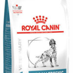 Royal Canin Hypoallergenic 14kg Dry Food Gluten-Free for Adult Dogs with Rice