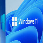Microsoft Windows 11 Pro DSP English