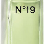 Chanel No. 19 Eau de Toilette 100ml