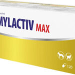 Vetfood for Dogs and Cats in Syrup for Gastrointestinal Disorders