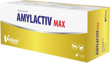 Vetfood for Dogs and Cats in Syrup for Gastrointestinal Disorders