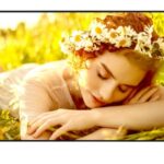 LG 50UL5Q-E Public Display LED VA 4K UHD 50"