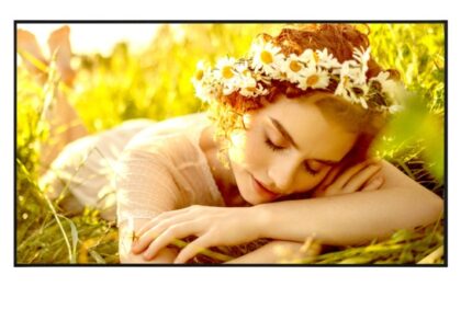 LG 50UL5Q-E Public Display LED VA 4K UHD 50"