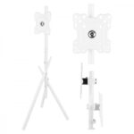 Maclean Energy MC-181 W Βάση Τηλεόρασης Δαπέδου έως 55" και 60kg Λευκό