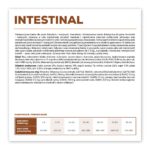 VETEXPERT Veterinary Diet Intestinal Dog - dry dog food - 12 kg - Image 4