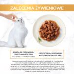 PURINA GOURMET GOLD Pieces in sauce Mix of 4 flavors - wet cat food - 96x85g - Image 8