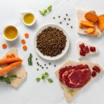 VETEXPERT Raw Paleo Ultra Medium&Large Adult Beef - dry dog ??food - 10 kg - Image 4