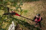 Einhell Gplc 18/20 Li T Free Standing Battery Pole Saw 18V Solo Total Length 250cm And Blade 20cm - Image 2