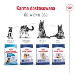 ROYAL CANIN Maxi Adult - dry dog food - 15 kg - Image 6