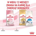 Royal Canin Kitten cats dry food 10 kg - Image 8
