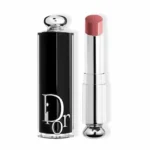 Dior Addict Shine Lipstick 422 Rose Des Vents