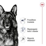 ROYAL CANIN Maxi Adult 5+ - dry dog food - 15 kg - Image 7