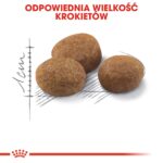 ROYAL CANIN Sterilised 7+ - dry cat food - 10 kg - Image 2