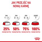 Royal Canin Kitten cats dry food 10 kg - Image 7
