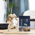 ADDVENA Power of Nature Adult Small Lamb - dry dog food - 10kg - Image 4