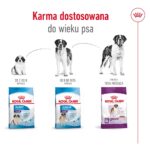 ROYAL CANIN Giant Adult - dry dog food - 15 kg - Image 3