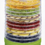 Concept Food Dehydrator with 12 Shelves and Adjustable Temperature 35-70°C