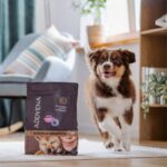 ADDVENA Boosted by superfoods Junior Medium/Large Beef - dry dog food - 10kg - Image 4