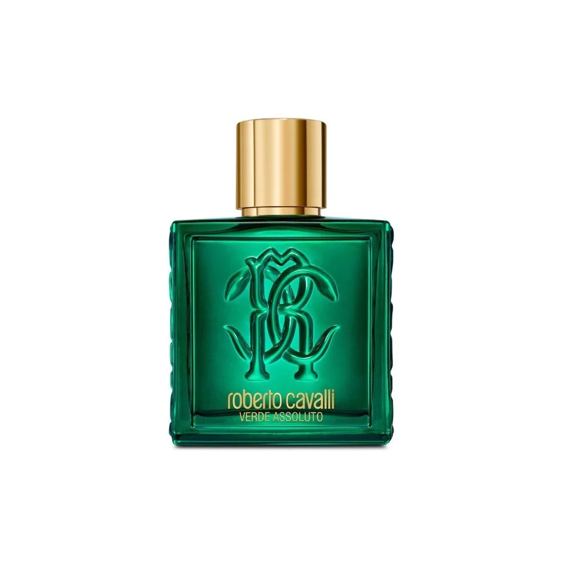 8052464898077.webp Roberto Cavalli Rc Uomo Verde Assoluto Edp 100ml - Image 1