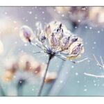 Samsung Video Wall VMR-U Series 46" Full HD LED Commercial Display